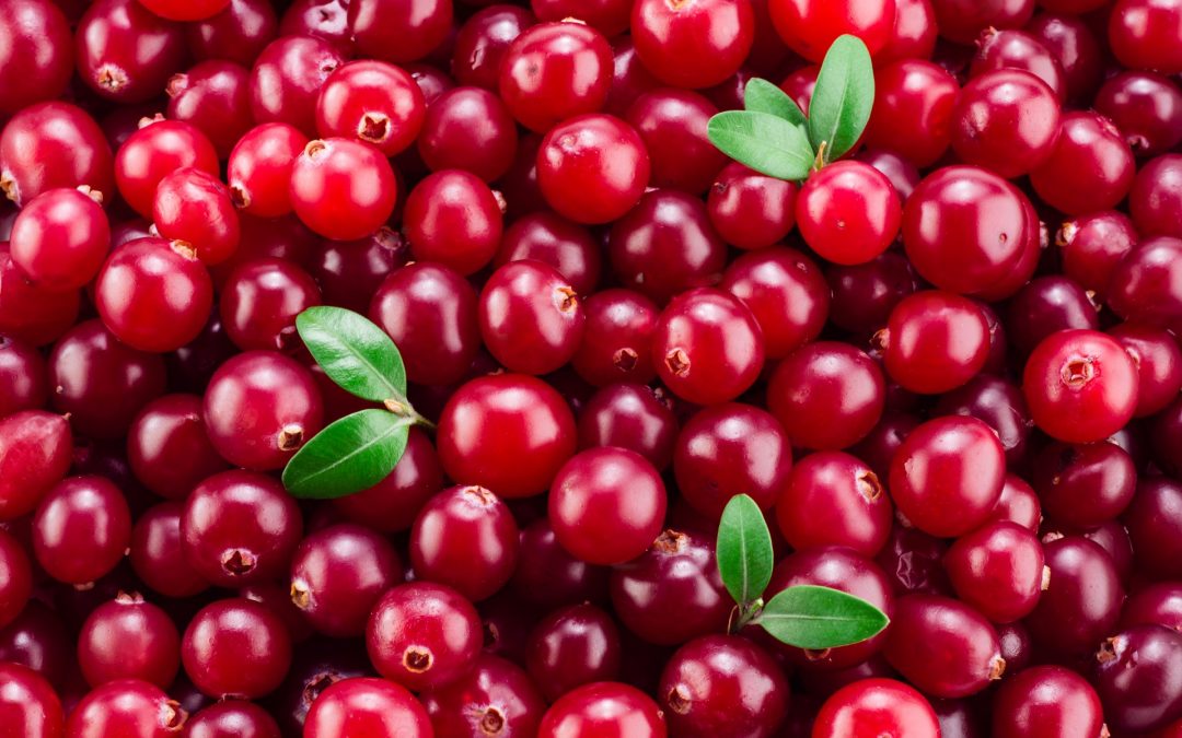 Cranberry: Um super alimento!