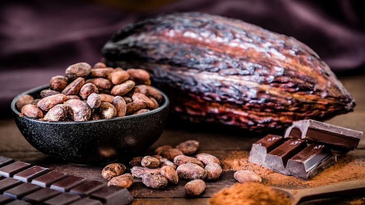 beneficios do chocolate 100 cacau