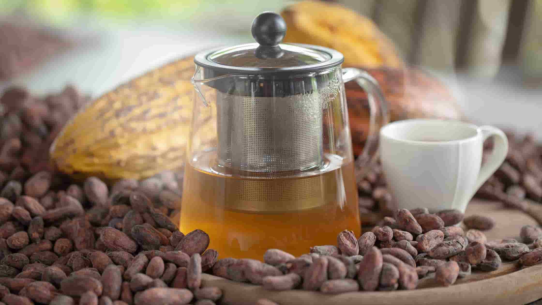 Chá de Cacau: Descubra os Benefícios e Sabores dessa Bebida - Java ...